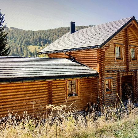 Magnifique Chalet Avec Sauna Roubion Exterior photo