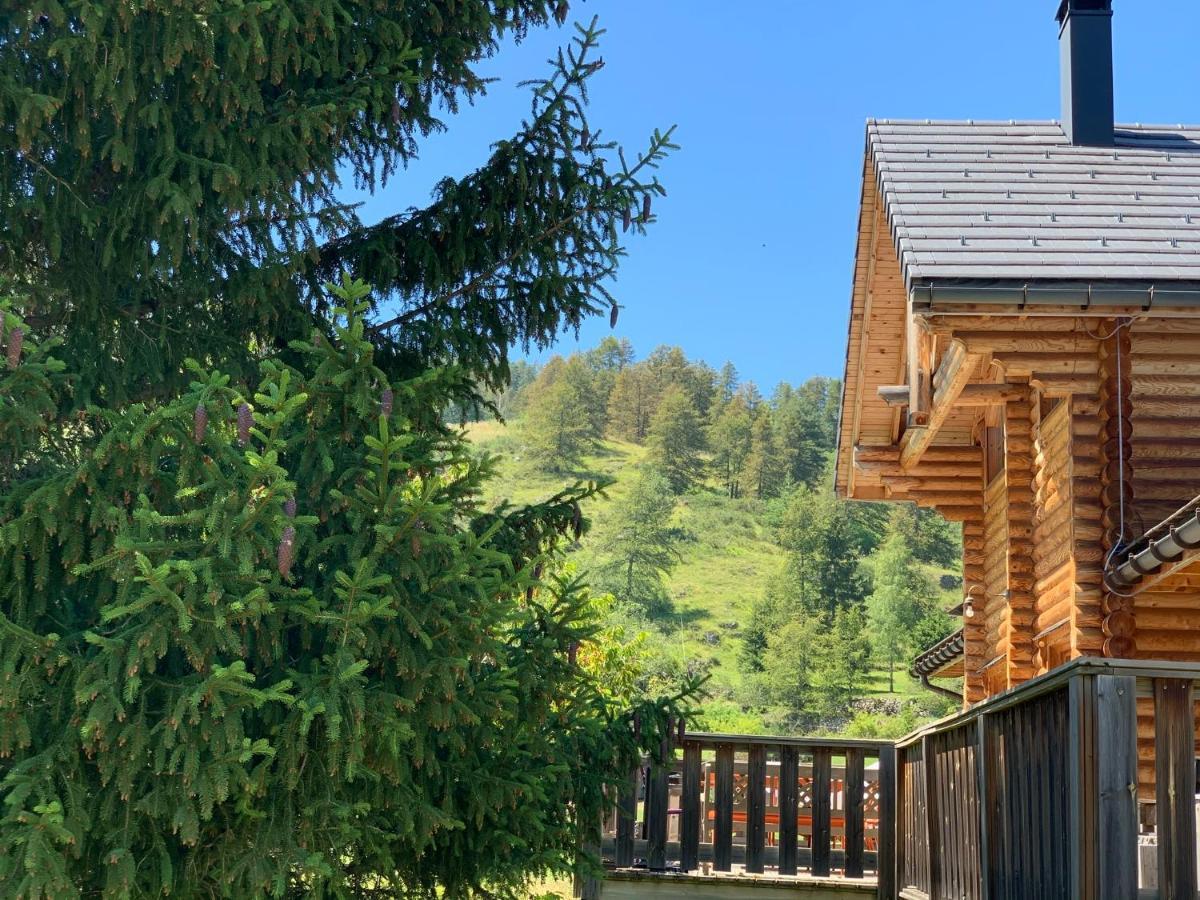 Magnifique Chalet Avec Sauna Roubion Exterior photo