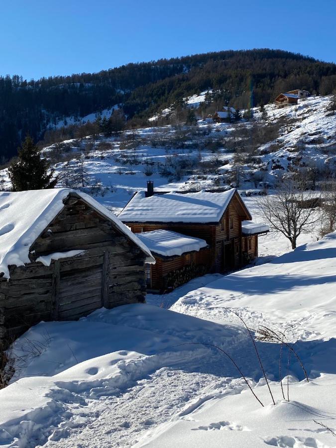 Magnifique Chalet Avec Sauna Roubion Exterior photo