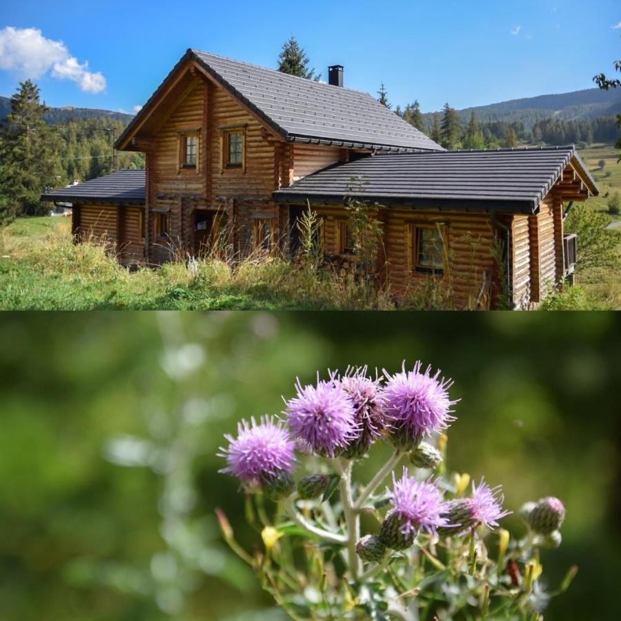 Magnifique Chalet Avec Sauna Roubion Exterior photo